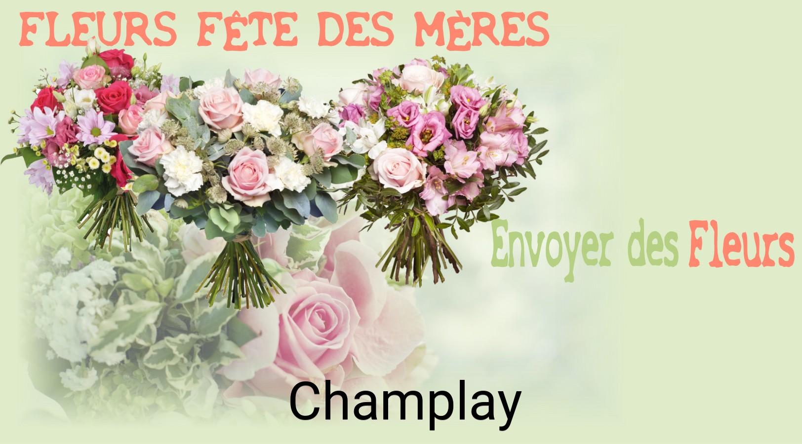 Bouquet de Fête des Mères livré à Champlay
